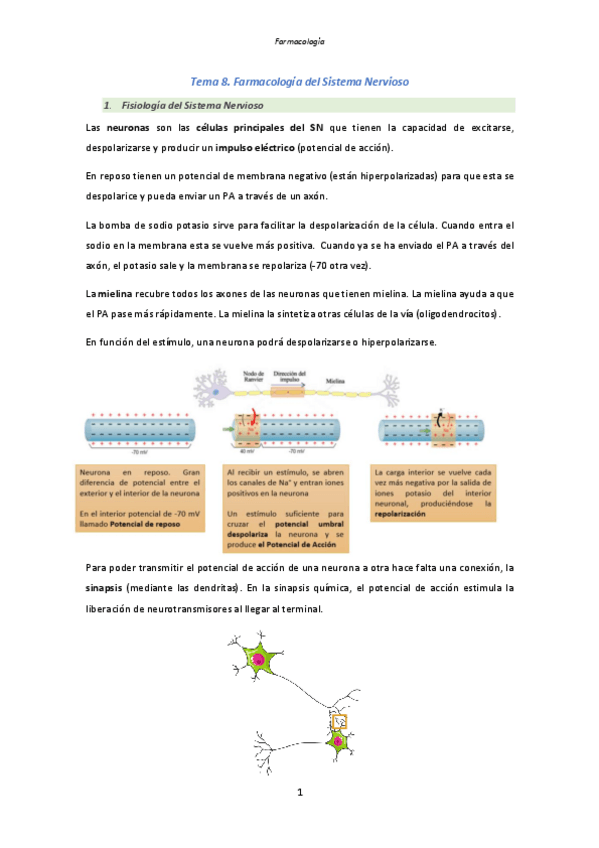 Miniatura del documento Tema-8.-Farmacologia-del-Sistema-Nervios.pdf