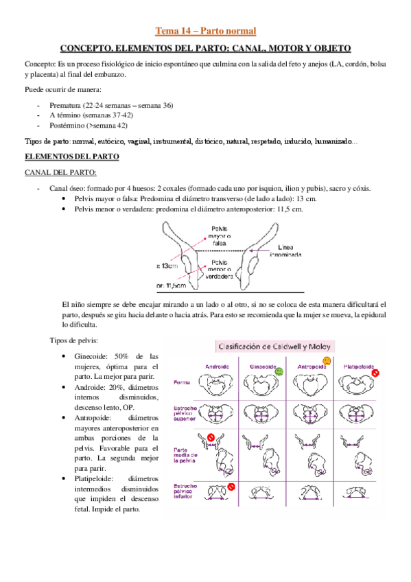 Miniatura del documento Tema-14.pdf