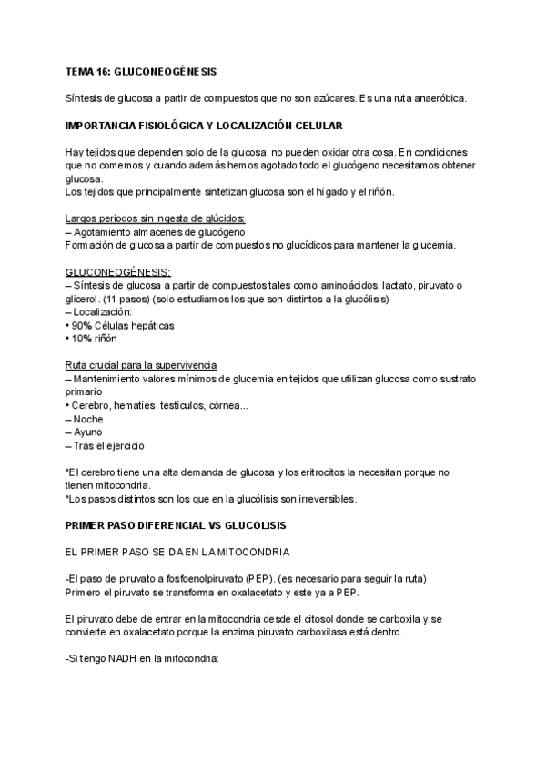 Miniatura del documento TEMA-16-GLUCONEOGENESIS.pdf