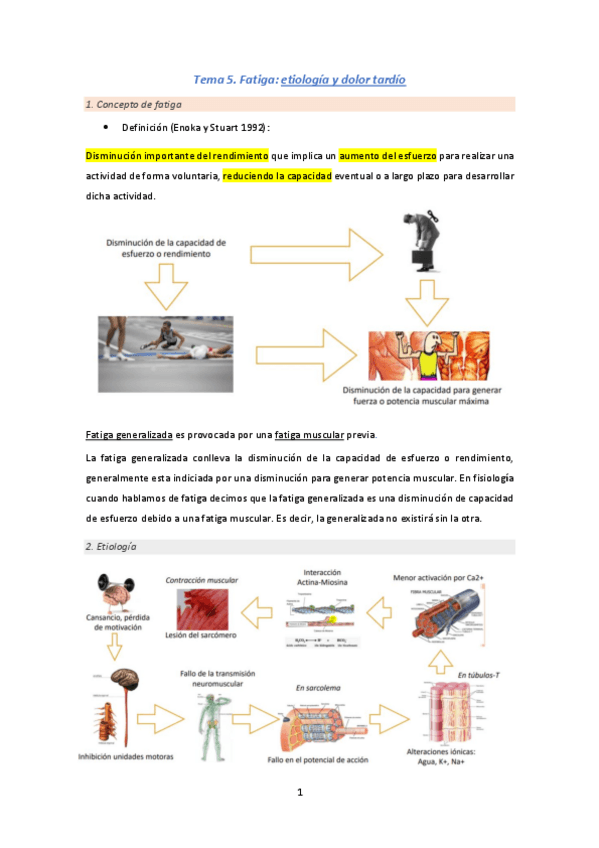 Miniatura del documento Tema-5.pdf