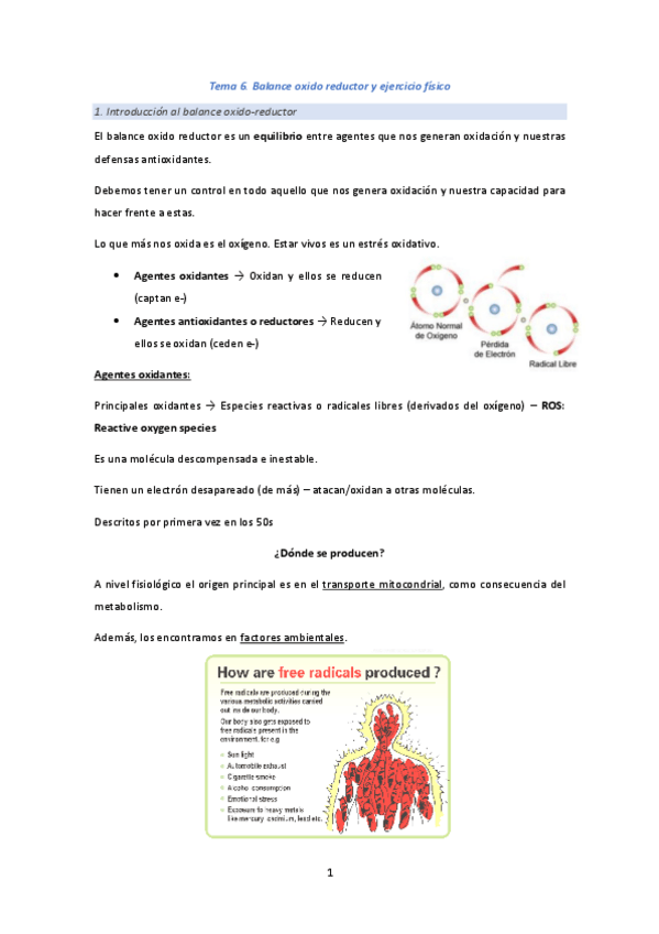 Miniatura del documento Tema-6.pdf