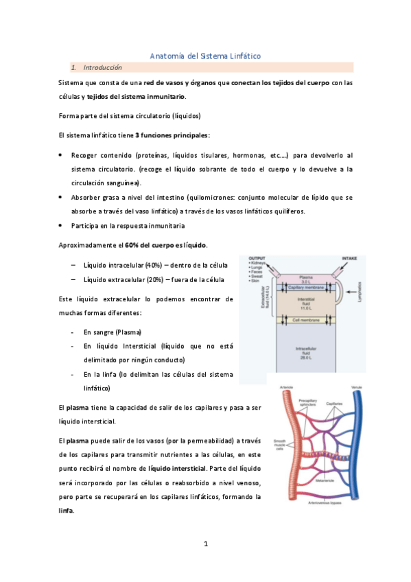 Miniatura del documento Anatomia-del-Sistema-Linfatico.pdf