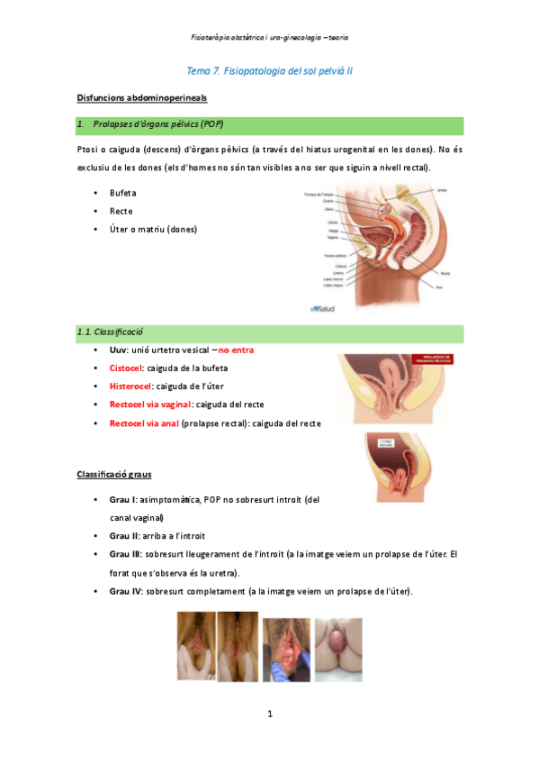 Miniatura del documento Tema-7.-Fisiopatologia-del-sol-pelvia-II.pdf