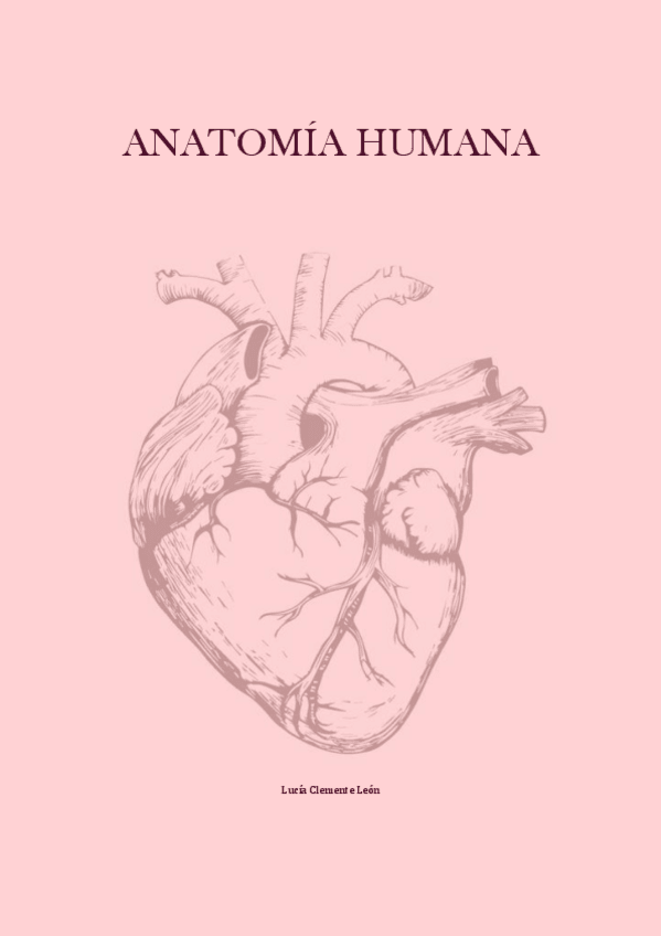 Miniatura del documento Apuntes-anatohum-hasta-tema-24.pdf