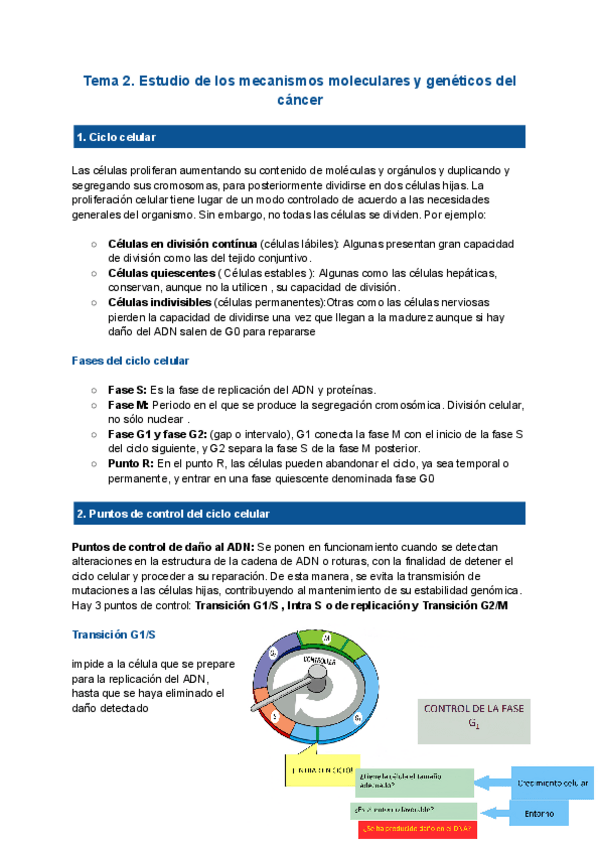 Miniatura del documento Tema-11-genetica.pdf