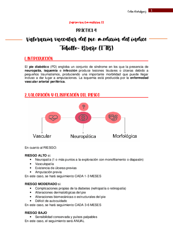 Miniatura del documento Practica-2-de-Olga-Comunitaria-II-practica-4.pdf