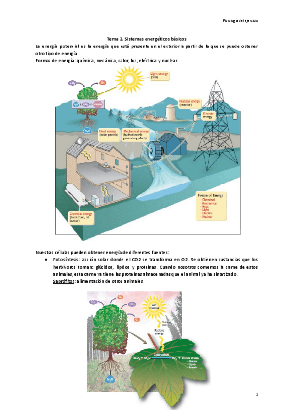 Miniatura del documento Tema-2.-Sistemas-energeticos-basicos.pdf