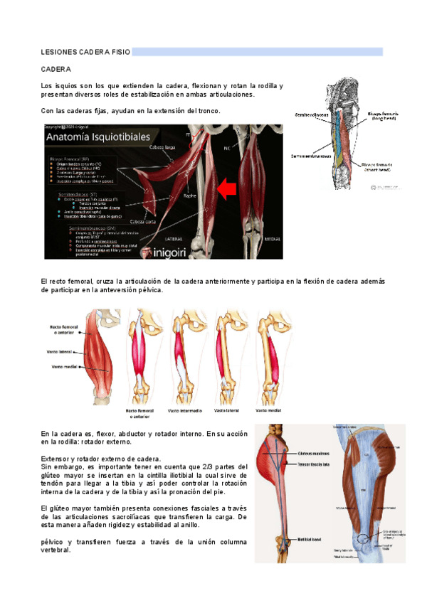 Miniatura del documento lesiones-de-cadera-fisio.pdf