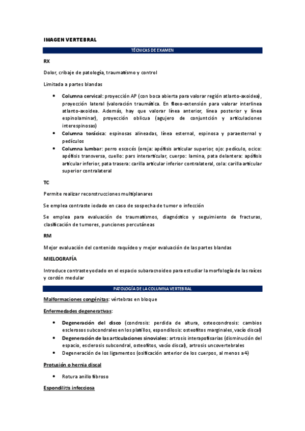 Miniatura del documento IMAGEN-VERTEBRAL.pdf