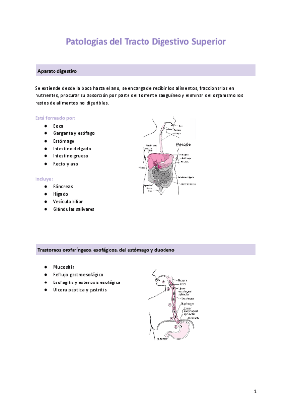 Miniatura del documento Patologias-del-Tracto-Digestivo-Superior.pdf