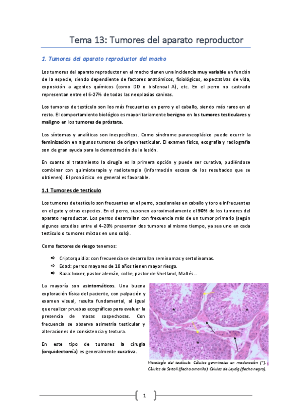 Miniatura del documento TEMA-13-ONCO-reproductor.pdf