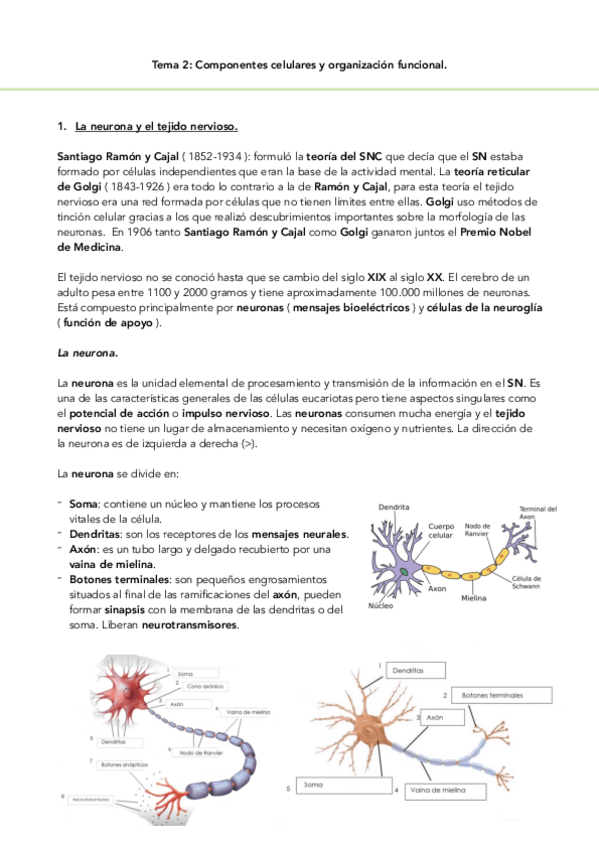 Miniatura del documento Anatomia-t.2.pdf
