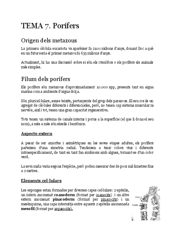 Miniatura del documento TEMA-7-zoologia.pdf