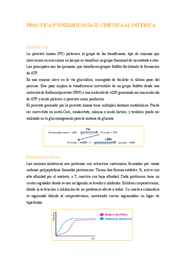 Miniatura del documento PRACTICA-5ENZIMOLOGIA-II.CINETICA-ALOSTERICA.pdf