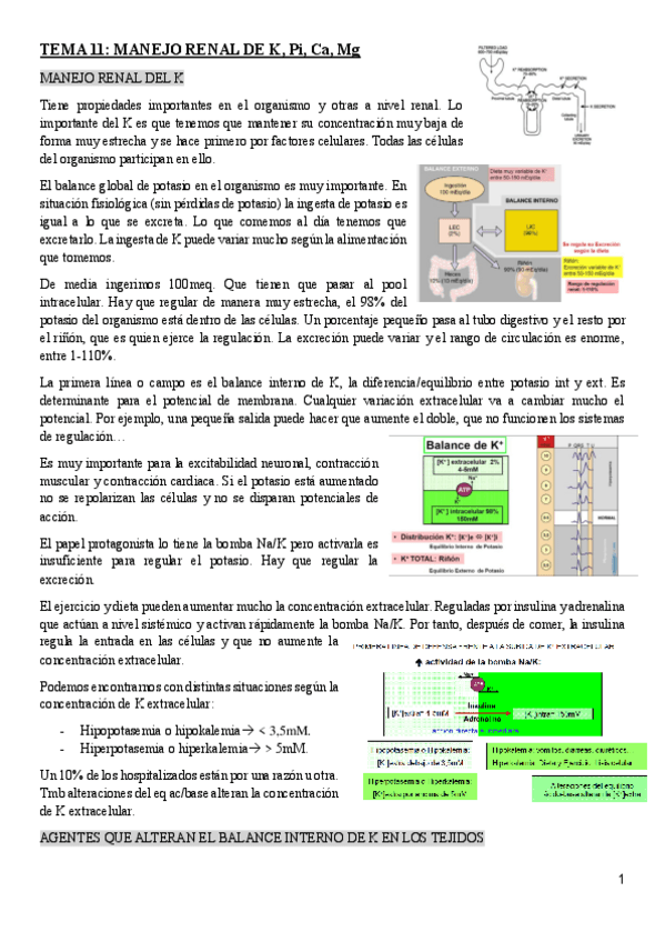 Miniatura del documento TEMA-11.pdf