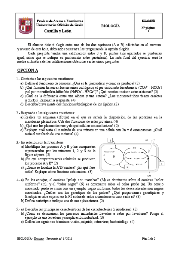 Miniatura del documento Examen-biologia-pau-2016.pdf