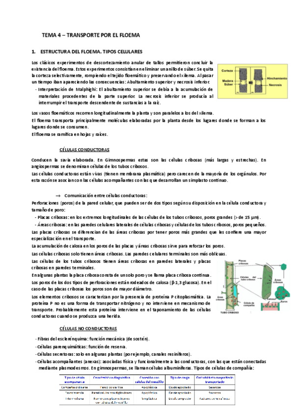 Miniatura del documento TEMA-4.pdf