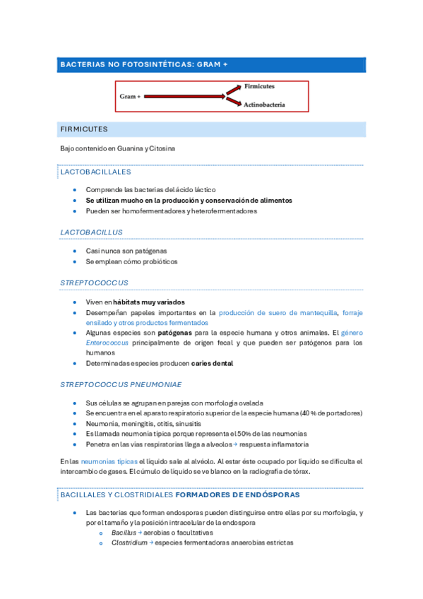 Miniatura del documento T4. Bacterias (gram positivas).pdf
