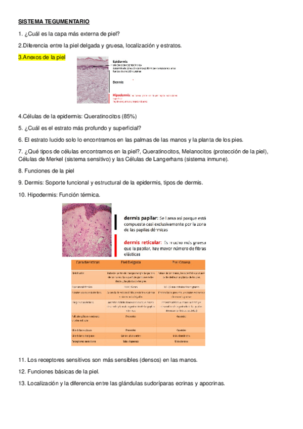 Miniatura del documento Llista-de-preguntes-de-Fisiologia-II.docx