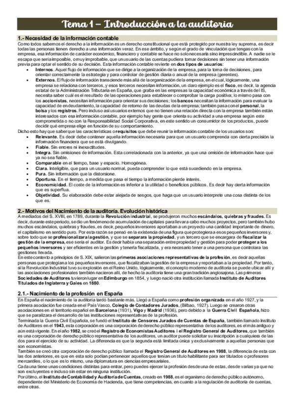 Miniatura del documento auditoria.pdf