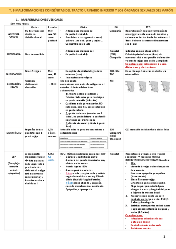 Miniatura del documento T.-9-MALFORMACIONES-CONGENITAS-DEL-TRACTO-URINARIO-INFERIOR-Y-LOS-ORGANOS-SEXUALES-DEL-VARON.pdf