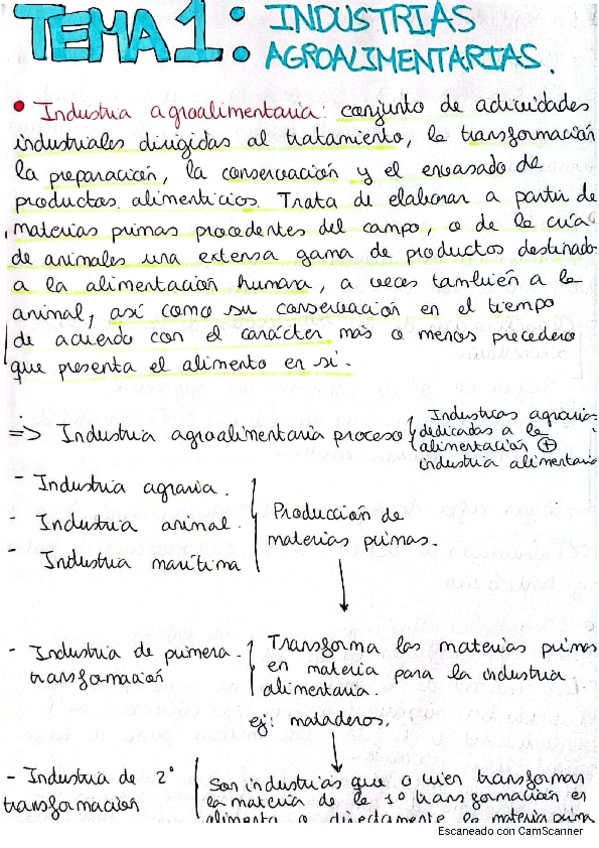 Miniatura del documento RESUMENTEMA1PROBLEMATICA.pdf