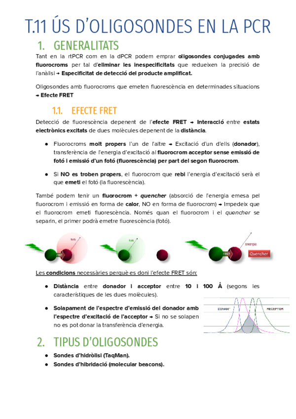 Miniatura del documento T.11-US-DOLIGOSONDES-EN-LA-PCR.pdf