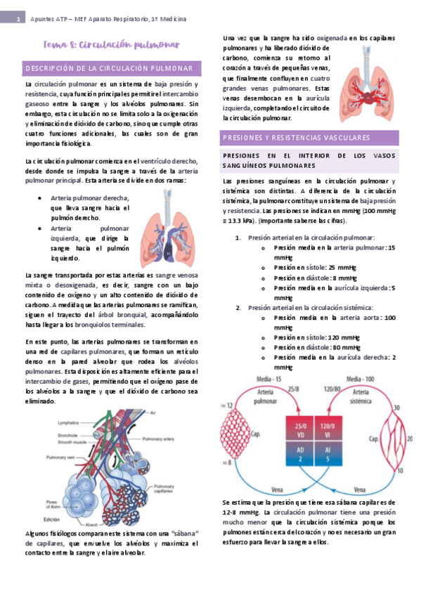 Miniatura del documento tema-8-ap-respiratorio.pdf