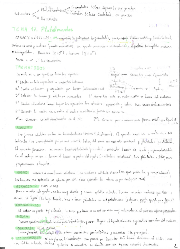 Miniatura del documento Resumen-Parasitologia-Carmen-Cuellar.pdf