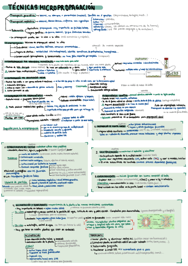 Miniatura del documento T1.pdf