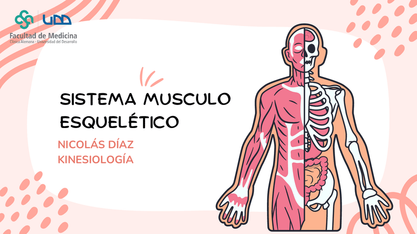 Miniatura del documento Sistema-musculo-esqueletico.pdf