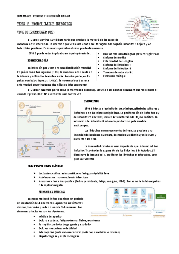 Miniatura del documento tema-15-eima-mononucleosis-infecciosa.pdf