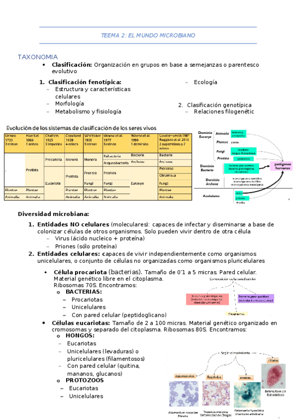 Miniatura del documento TEEMA-2.docx