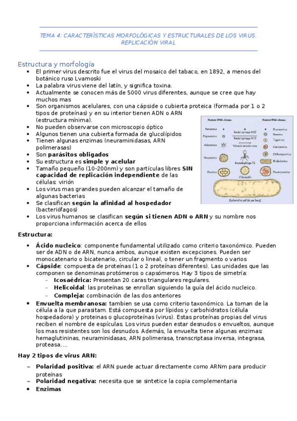 Miniatura del documento TEMA-4.docx