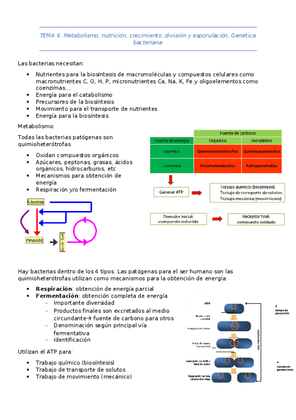 Miniatura del documento TEMA-6.docx