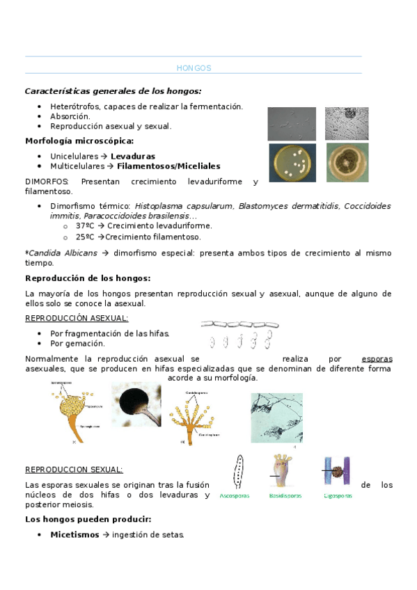 Miniatura del documento tema-7.docx
