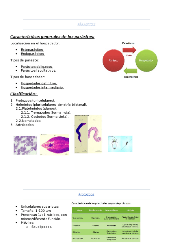 Miniatura del documento tema-8.docx