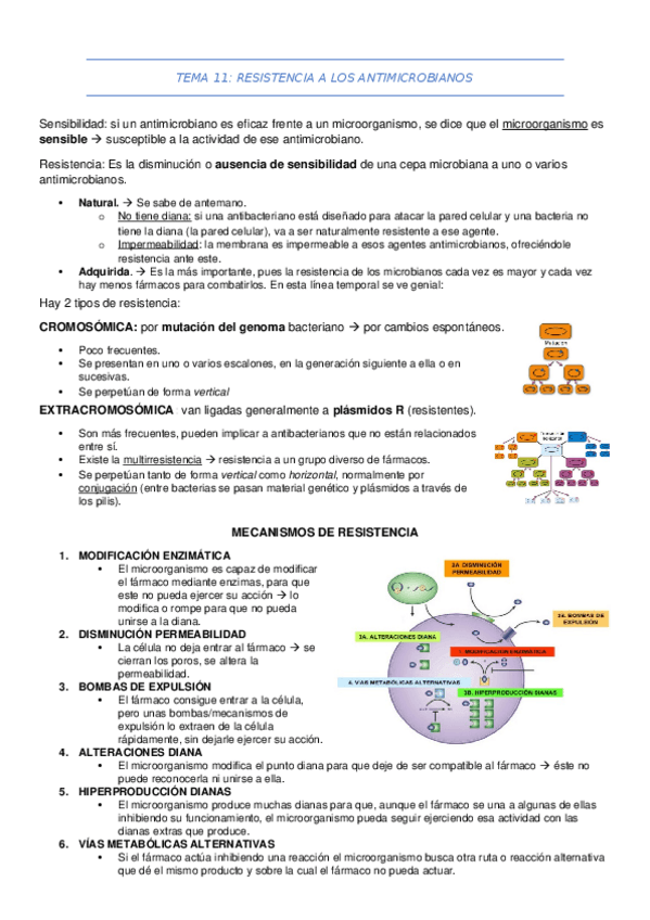 Miniatura del documento TEMA-11.docx