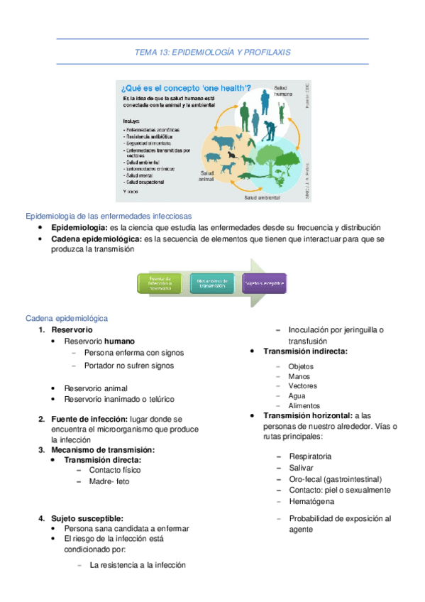 Miniatura del documento TEMA-13.docx