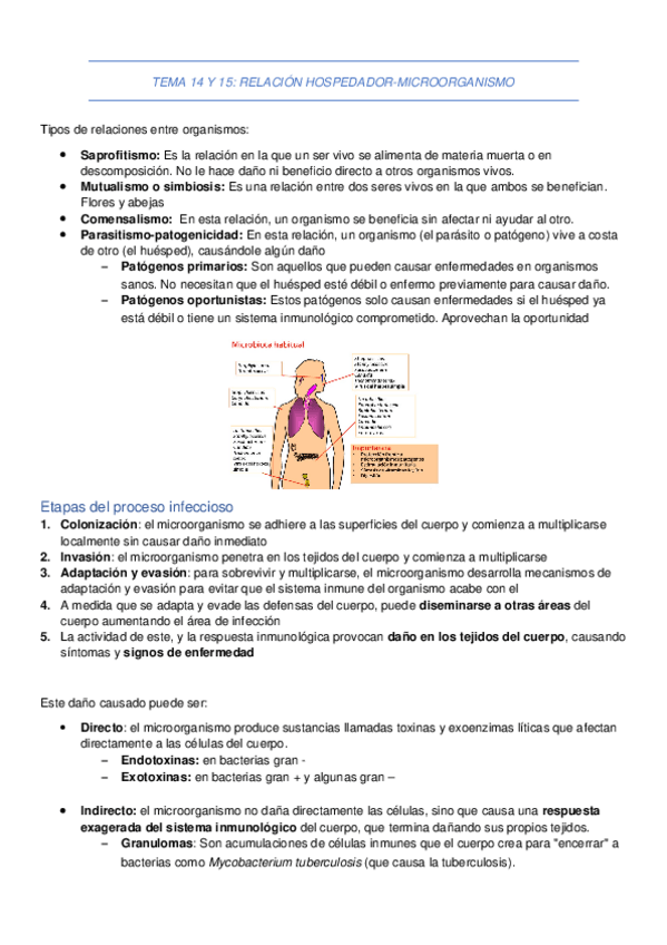Miniatura del documento TEMA-14-Y-15.docx