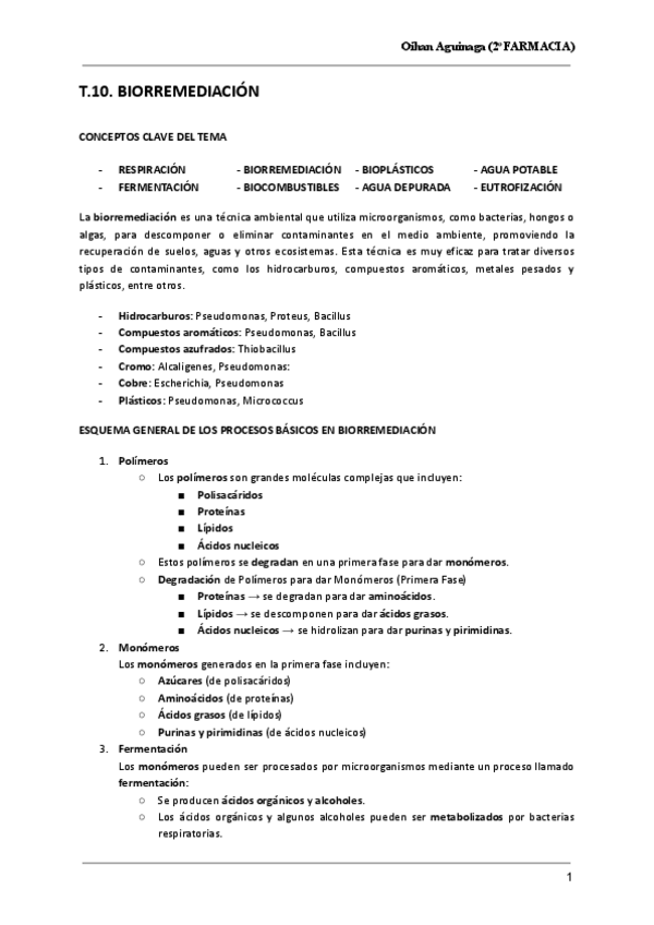 Miniatura del documento T.10.-BIORREMEDIACION.pdf