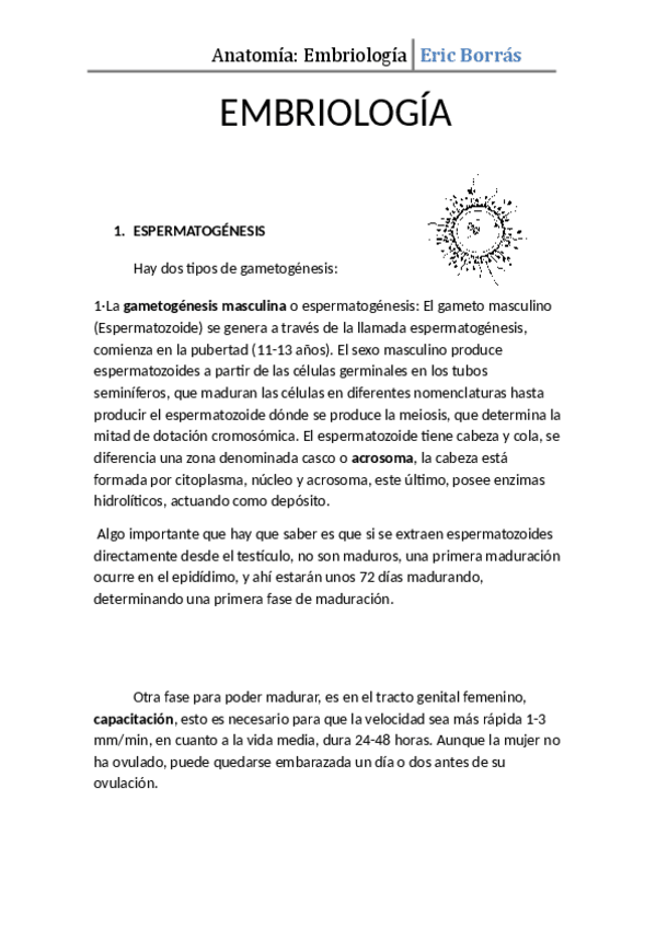 Miniatura del documento EMBRIOLOG_A_.pdf