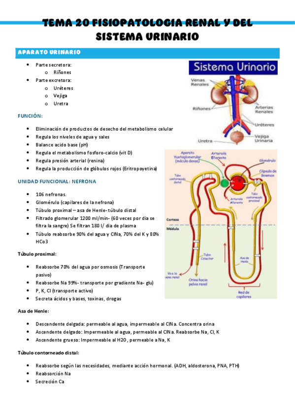 Miniatura del documento T20-Patologia-medica-general.pdf