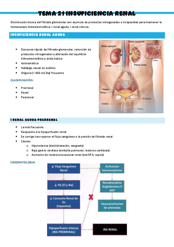 Miniatura del documento T21-Patologia-medica-general.pdf