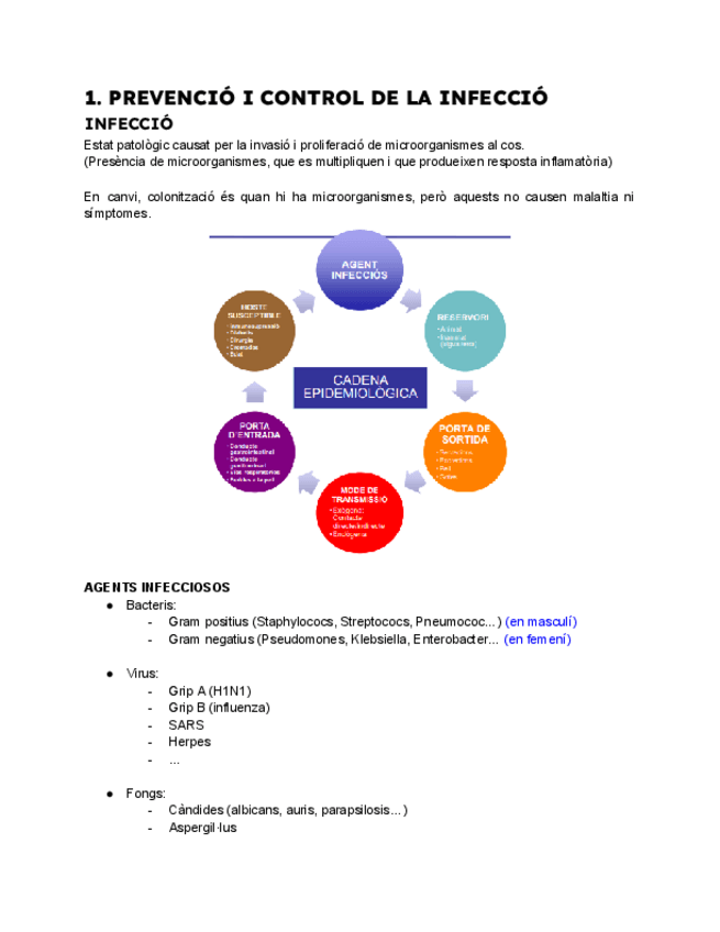 Miniatura del documento Tema-1-infermeria-clinica-punt-1-2-3-4-5-i-6.pdf