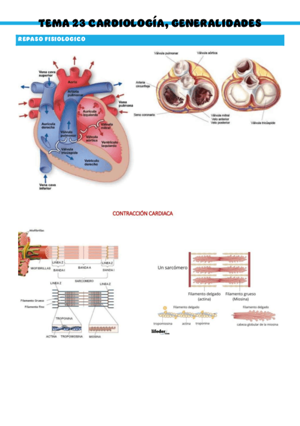 Miniatura del documento T23-Patologia-medica-general.pdf