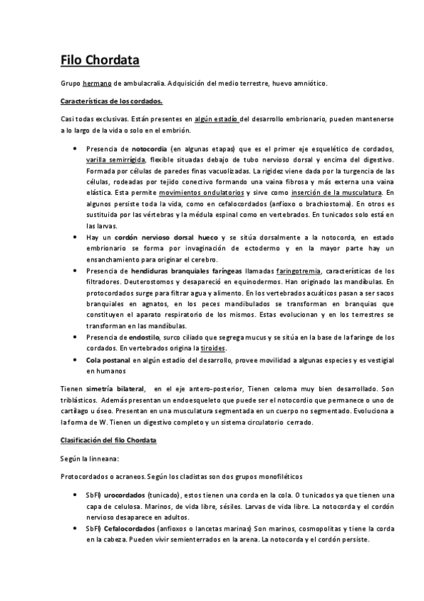 Miniatura del documento Filo-Chordata.pdf