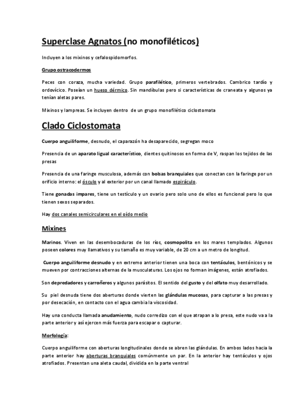 Miniatura del documento Superclase-Agnatos-y-Superclase-gnatostomados.pdf