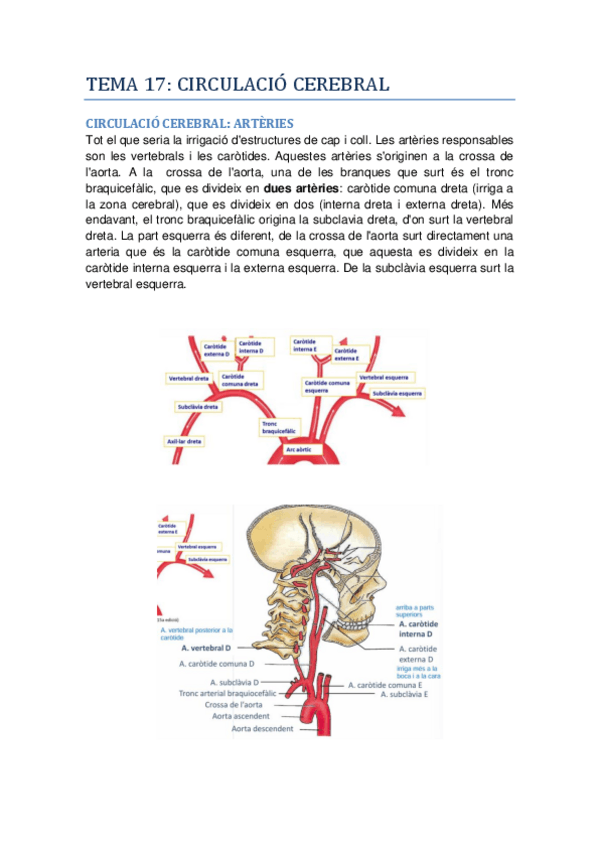 Miniatura del documento Fisiologia-II-Tema-17.pdf