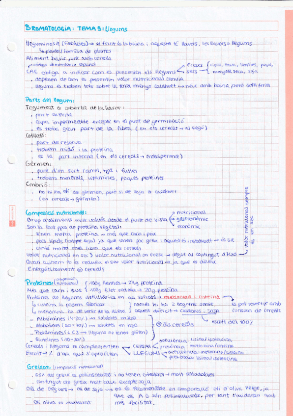 Miniatura del documento Tema-5-Llegums.pdf